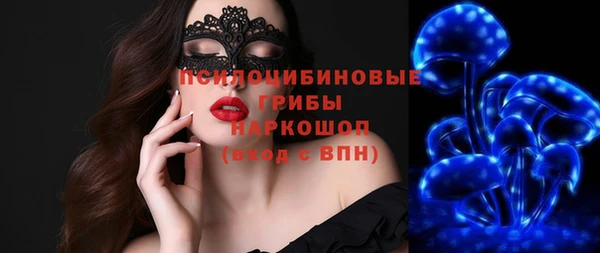 круглые Аркадак