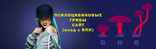 круглые Аркадак
