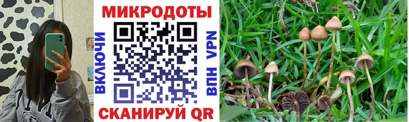 Псилоцибиновые грибы Cubensis  как найти закладки  Ульяновск 